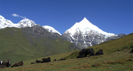  Laya - Gasa Trek 